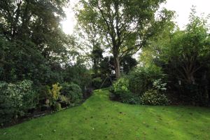 Photo 19- click for photo gallery